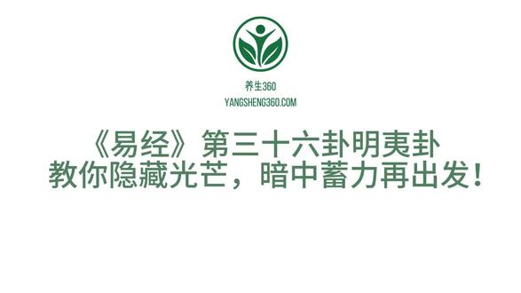 《易经》第三十六集·明夷卦
标题:韬光养晦——明夷卦教你隐藏光芒,暗中蓄力再出发!
1. 卦辞原文
明夷:利艰贞。
2. 彖传
《彖》曰:明入地中,明夷;内文明而外柔顺,以蒙大难,文王以之。利艰贞,晦其明也;内难而能正其志,箕子以之。
3. 象传
《象》曰:明入地中,明夷;君子以莅众,用晦而明。
4. 六爻爻辞(文字版,由初至上)
初九:⚊ 明夷于飞,垂其翼;君子于行,三日不食,有攸往,主人有言。
六二:⚋ 明夷,夷于左股,用拯马壮,吉。
九三:⚊ 明夷于南狩,得其大首,不可疾,贞。
六四:⚋ 入于左腹,获明夷之心,于出门庭。
六五:⚋ 箕子之明夷,利贞。
上六:⚊ 不明晦,初登于天,后入于地。
5. ≡型卦象+二进制
本卦明夷:上坤下离
≡型:☷000=0(上坤) ☲101=5(下离)
整体二进制:000101=5(十进制),动爻一变=位运算异或。
6. 白话译文
初九:明夷飞鸟垂翼;君子急行,三日不食,有所往,主人有言。
六二:明夷伤左股,用壮马救,吉。
九三:明夷南狩,得大首,不可疾,守正。
六四:入左腹,获明夷真心,出门庭。
六五:箕子之明夷,利贞。
上六:不明而晦,初登天,后入地。
7. 人生启迪(口播可直接用)
① 飞垂翼期:光芒被掩,先收翅,别硬飞。
② 左股期:伤左腿,用壮马(外援)救,吉。
③ 南狩期:暗中猎首,不可疾,守正。
④ 入腹期:深入敌腹,获真心,出门庭。
⑤ 箕子期:内难正志,利贞。
⑥ 登天入地期:先扬后抑,晦到底,再重生。
8. 百姓起卦彩蛋
“摇到初九‘垂翼’——光芒被掩,先收翅!
摇到六二‘用拯马’——外援救急,吉!
摇到上六‘登天入地’——先扬后抑,晦到底再重生!”
9. 收尾金句
“明入地中,明夷:六步韬光养晦,先垂翼,再入腹;会晦的人,才能暗中蓄力再出发!”