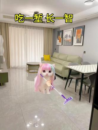 难道这就是所谓的吃一堑长一智…#猫meme#meme#搞笑