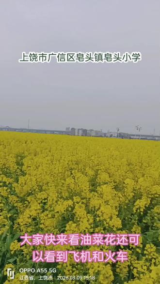 #看天下粮仓有感 #油菜花开了 大家快来看油菜花,油菜花太美!太好看,也看得到火车和天空飞机!地址是上饶过来的从潘家路口进去,去毛弯的方向#美丽的油菜花 #家乡的油菜花 #一起看飞机