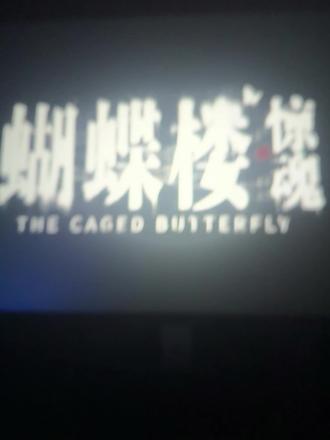 清明就要看蝴蝶楼#蝴蝶楼惊魂