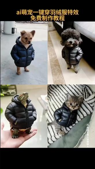AI萌宠一键穿羽绒服特效教程来了 #即梦ai #小狗羽绒服 #宠物加绒外套 #ai萌宠一键穿羽绒服 #萌宠穿羽绒服