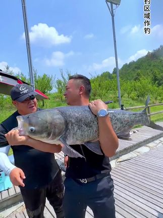川泽专门针对大物研发,双金刚结大物线组。全套精品配件,喜欢钓大鱼的朋友一定要试试#线组 #鱼线 #钓大鱼