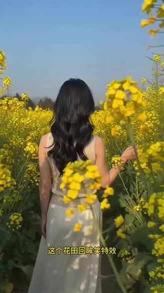 这个花海回眸一笑视频也太美了,不用外出,在家自己也能拍出唯美大片,同款教程来了#即梦AI #AI分身戏精大赛 #我的AI分身杀疯了 #Seedance2.0#即梦AI分身 即梦AI分身怎么做