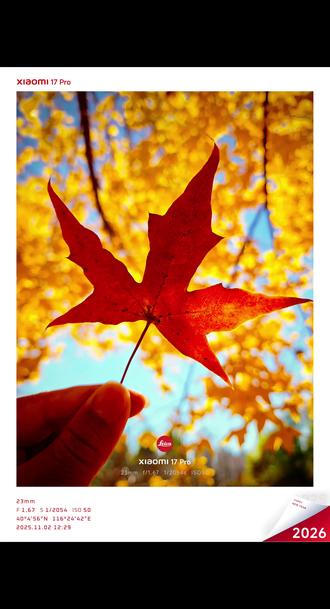 小米澎湃OS3 2026年节日限定水印来了,有元旦和圣诞节的水印选择。#限定水印 #小米17pro #小米17promax #小米手机 #元旦