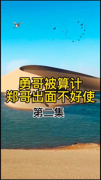 勇哥被算计,郑哥出面不好使#小勇哥#郑哥