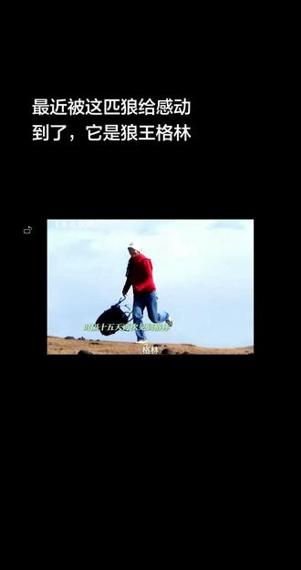 格林是狼,但却比人类更懂爱。知道人类妈妈拿了自己的食物,依然会再次将食物藏在原来的地方,在寒冷的冬天食物匮乏的情况下仍不断给妈妈送食物;人类妈妈受伤,他能从另一个山坡用了四十分钟牵回一匹马来救她;全身没有个兜儿居无定所却能珍藏妈妈的红腰带七年。后来它成为了狼王,却再也无法靠近妈妈...#重返狼群 #格林#会剥糖纸的狼 #李微漪#感动