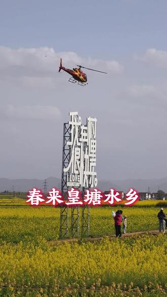 春来皇塘水乡~
#汉中 #皇塘水乡 #2026云享汉中 #鹮游汉中油菜花 #2026汉中邀您来赏花