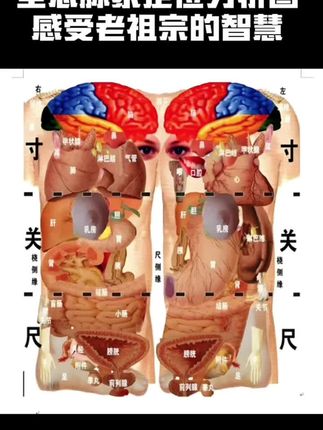 全息脉象图解,快来感受下老祖宗的智慧#自学摸脉#老祖宗的智慧#28脉 #传承 #脉学