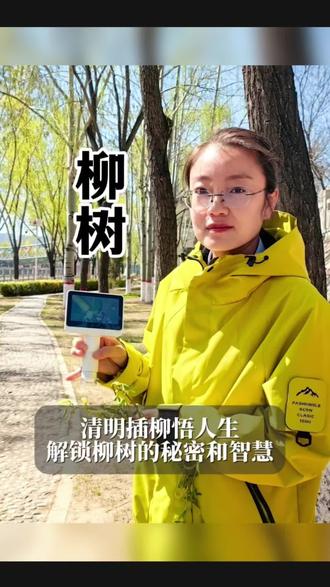 #自然知识科普 #创作者中心 #创作灵感 #清明插柳#柳树 清明插柳,
是为家人祈福平安,
是迎接春天的勃勃生机,
更是藏在柳枝里的小小智慧。
从老辈传下来的美好习俗,
到柳树有趣的小知识,
再到它柔韧又坚强的样子,
一棵柳树,就能让宝贝读懂清明,学会成长。