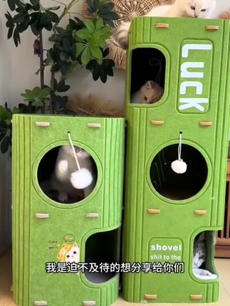 #猫咪树洞 #宠物用品 #养猫新手 #宠物猫 #猫窝