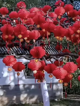 小红灯笼挂饰新年结婚开业春节装饰防水纸灯笼#灯笼 #挂饰挂件 #氛围感 #喜庆好看还实用