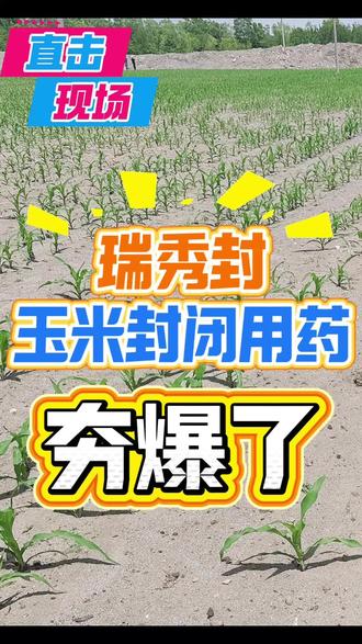 清原又一全新专利产品:瑞秀封!
玉米封闭试验示范全程直拍#玉米田除草#苗前封闭