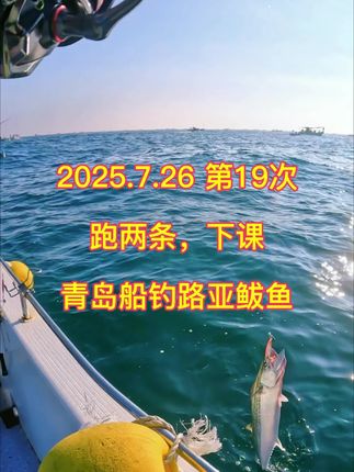 青岛路亚鲅鱼晕船了跑了两条下课 #青岛船钓鲅鱼 #路亚鲅鱼装备 #青岛海钓