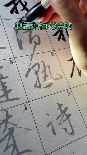 经典值得反复书写,赵孟頫行书梅花诗帖,全文描红,零基础也能写 #自学书法 #每天坚持练字 #写字静心 #赵孟頫行书 #描红