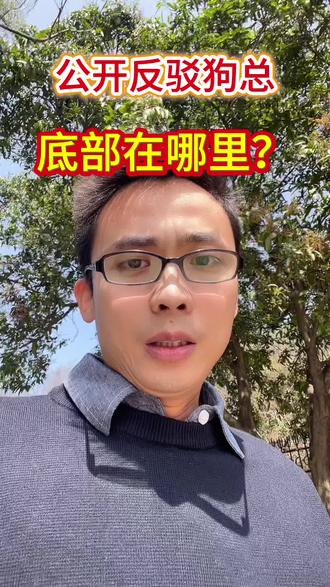 公开反驳#狗总 的#猫总 :底部在哪里?#黄金 #股票 #投资