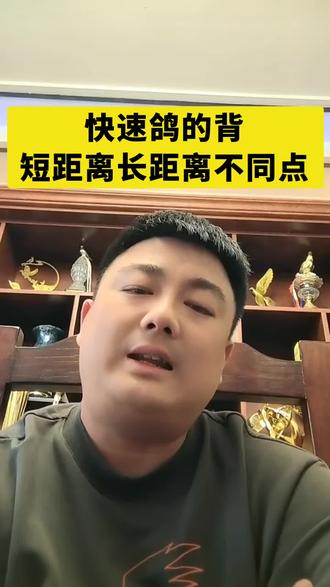 #赛鸽 #赛鸽比赛 #信鸽 #信鸽赛鸽 #养鸽人 @抖音小助手 @DOU+小助手