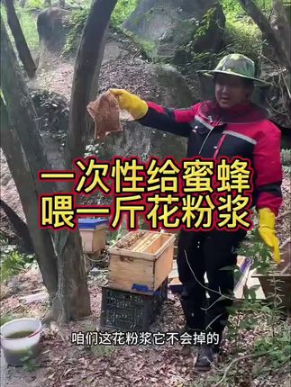 #花粉浆#中蜂口粮#蜜蜂口粮#蜜蜂饲料#壮蜂粉#花粉浆