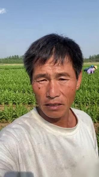 人生没有白走的路,每一步都算数。#平平淡淡 #日常生活 #白发结束了