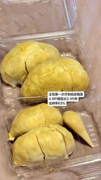 63%出肉率是真的超标了 #报恩榴莲 #榴莲出肉率 #榴莲开箱分享 #挑榴莲 #手把手教你开榴莲