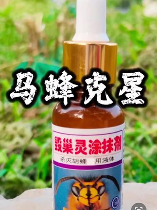马蜂 马蜂不除,难解心头之恨#蜜蜂#马蜂#毁巢灵