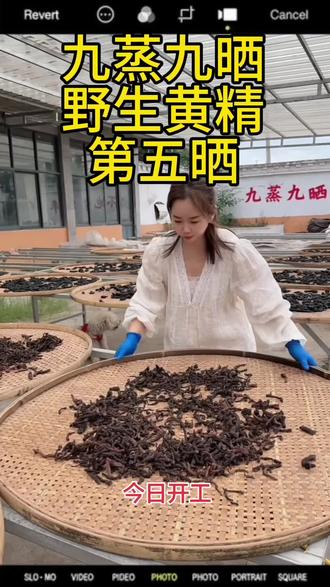 日复一日,守着这份古法晾晒 #真实生活分享计划 这批野生黄精的第五蒸结束,进行第五晒,守着院子,伴着日光,重复着蒸晒的工序。慢一点没关系,地道才最重要。#九蒸九晒黄精#九蒸九晒熟地#六蒸六晒红枣