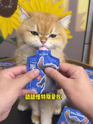 哇塞!阿飞和巴弟居然跟史迪仔联名出了个猫咪大礼包耶!小猫嘎嘎爱炫~铲屎官们赶紧薅#阿飞和巴弟 #新手养猫