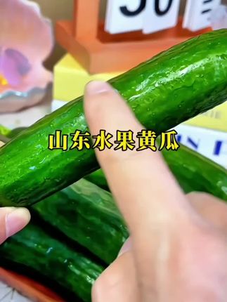 新鲜现摘山东水果黄瓜清甜多汁清脆爽口