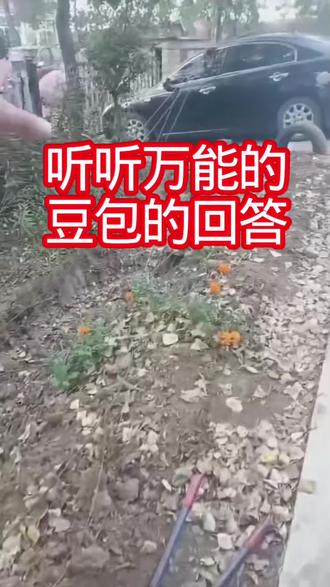 听听万能的豆包的回答#新闻资讯 #新闻热点 #新闻现场