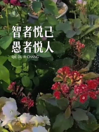 气压式园艺喷壶性价比高,加厚材质大容量耐用,多功能#喷壶 #喷壶式喷水 #喷壶喷雾