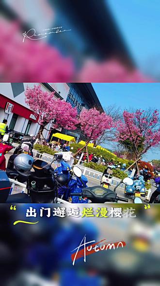 钟埭樱花小镇 #我的足迹地图 @祝大家快乐每一天。