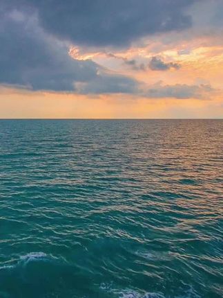 松下CR2032/CR2025/CR2016汽车钥匙遥控器3v纽扣电池电脑主板手表#电池 #纽扣电池 #钥匙电池 #汽车钥匙电池