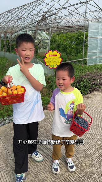 周末一拖二富华果林采摘露营钓鱼游乐一条龙#孩子的果园乐趣 #带娃出来体验摘果的乐趣 #带娃果园采摘 #夏日亲子自驾游 #亲子果园采摘