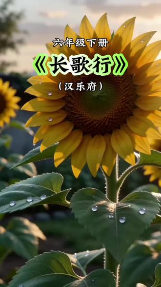 六年级下册课内必背古诗《长歌行》汉乐府 看动画,学古诗,让孩子身临其境学古诗#每天学习一点点就会有收获 #古诗词 #让孩子爱上古诗词 #古诗词的魅力 #古诗打卡