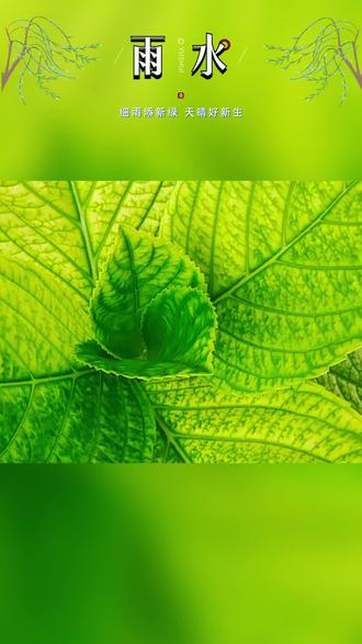 初二遇雨水
富贵长相随
#正月初二传统风俗 #雨水节气 #回娘家