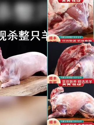 #上热门 #好物推荐🔥 #内蒙古羔羊全羊草地散养整只冷冻发货21-22斤/整羊、整扇、xx%腿排