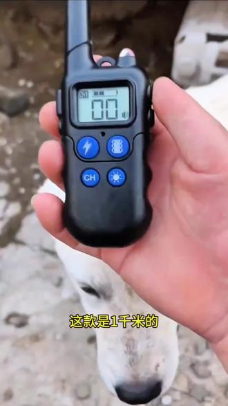 狗爱乱叫又喊不回家就用这个语音电击项圈训狗神器,既能防狗叫,还能纠正乱捡食防爆冲乱咬#训狗器 #狗狗训练#训犬神器#训狗经验分享