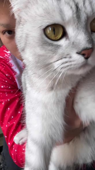 亚比入门级穿搭教学视频送到嘴边了快来吃😋 #青年创作者成长计划 #亚文化穿搭 #男生穿搭日记 #ootd穿搭 #今天穿什么