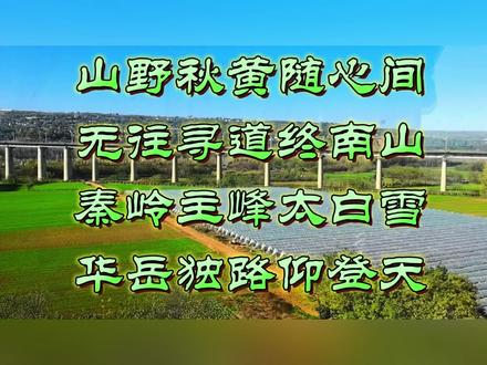 山野秋黄随心间,
无往寻道终南山;
秦岭主峰太白雪,
华岳独路仰登天。
——DS这首诗以终南山、太白山、华山为意象,勾勒出一幅秋日山野寻道的画卷,透露出超然物外、向往自然的情怀。以下是对这首诗的赏析:
诗歌以“秋黄”开篇,点明季节与山野的苍茫色调,同时“随心间”三字奠定全诗超脱自在的基调。后三句通过“终南山”“太白雪”“华岳独路”三个意象,层层递进,将寻道之心与自然险峻融为一体,既有对隐逸生活的向往,也有对攀登险峰的敬畏。
逐句赏析
1. “山野秋黄随心间”
· “秋黄”二字既写实景,又暗喻心境:秋色苍黄,天地开阔,人心也随之澄明。“随心间”表明诗人与自然合一的状态,无需刻意追求,道已在心中。
2. “无往寻道终南山”
· “无往”似有“无往不复”之意,暗含循环往复的哲思;“寻道”点明主题,终南山自古是隐修圣地,此处既是实指,也是精神归宿的象征。
3. “秦岭主峰太白雪”
· 由终南山延展至秦岭主峰太白山,以“雪”凸显高远纯净。太白积雪是关中八景之一,此处借雪喻道,暗示寻道之途需经历清净与孤寂。
4. “华岳独路仰登天”
· 华山以险著称,“独路”既写千尺幢、长空栈道之险,也喻指求道之途的孤独艰险;“仰登天”则展现向上攀登的意志与对高远境界的仰望。
艺术特色
· 意象层层递进:从终南山的隐逸,到太白雪的纯净,再到华岳的险峻,逐步升华对“道”的理解——道在自然,在险远,在心境。
· 虚实结合:实写秦岭山水,虚写寻道之心,景物与哲理交融。
· 语言简练而意境深远:四句二十八字,囊括空间(山野、终南、太白、华岳)、时间(秋日)、动作(寻、仰登)与心境(随心、寻道),言简意赅。
思想情感
诗人通过山野寻道的意象,表达了对自然与道境的向往:
· 超然物外:秋黄“随心”,暗含放下执念的禅意;
· 求索精神:终南寻道、华山仰登,体现对精神高度的不懈追求;
· 孤寂与崇高:“太白雪”“独路”暗示寻道者的孤独,而“登天”则赋予这种孤独以神圣性。
小结
这首诗以秦岭山脉为背景,将秋色、雪山、险峰化为心路历程的象征,在简练的笔触中融入了隐逸文化与登山精神,是一首富有道家意蕴的山水寻道诗。@DOU+小助手 #原创视频 #风景如画的地方 #纪录美好生活 #感受大自然 #爱生活爱旅游