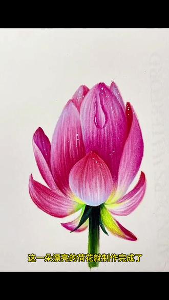 彩铅荷花🪷画法,新手闭眼跟练不翻车😘#跟我一起学画画 #创作者中心 #创作灵感 #画画 #零基础学画画