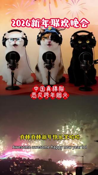 2026新年联欢晚会|中国真棒猫&悉尼跨年烟火#萌宠出道计划 #Al创作浪潮计划#悉尼#马年#真棒