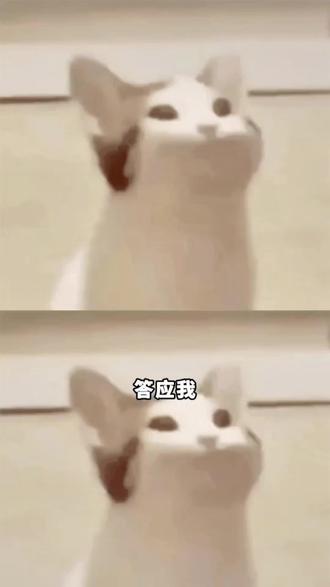 续火花别再瞎折腾了#多闪app#小火人AI聊天#多闪