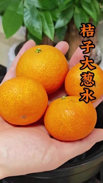 橘子和大葱还能这么做,看看你们学会了吗##养生 #养生就是养健康 #养生食谱 #食疗小妙招