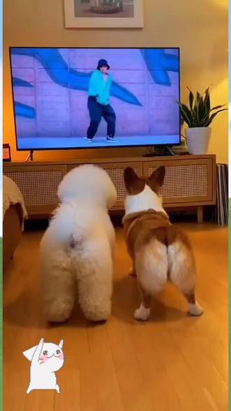 你见过这么可笑的萌宠吗#搞笑#笑得肚子疼#看一遍笑一遍#每日一笑#自古评论区出人才@抖音小助手