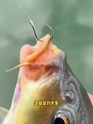 #子线双钩 #鱼钩 #手工绑钩 #伊势尼#钓鱼