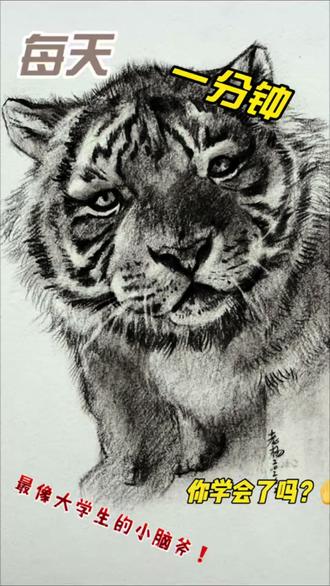 #创作者中心 #创作灵感 #素描#画画#老虎
小脑斧~你学会了吗?
