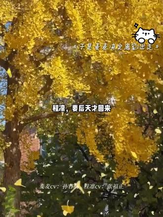 麦麦,麦麦你在哪儿#麦麦于是离家出走 #猫耳fm #广播剧 #广播剧推荐 #CV