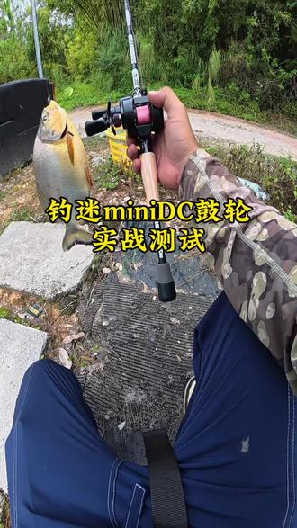 钓迷
MiniDC鼓轮实战,带霍尔传感器的轮轮,对新手非常友好,抛投不容易炸线,还带抛投骚音,实战中鱼点都不虚,握持感也非常舒服,一张出头就能拿下#水滴轮 #路亚 #路亚装备 #钓迷minidc鼓轮