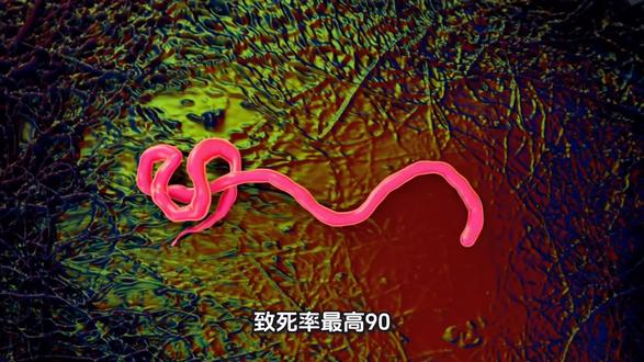 埃博拉病毒有多可怕,一起来了解一下吧。 #短剧视频变现