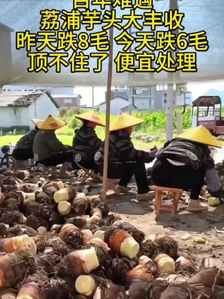 #芋头#优质农产品 #农产品#现挖现发新鲜到家