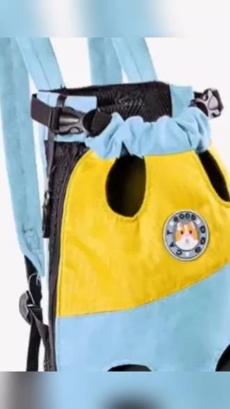 #萌宠好物 猫咪外出双肩包便携胸背带宠物背包猫包背猫小狗携带胸前狗包 #猫包 #猫咪用品 #猫包推荐 #好物推荐